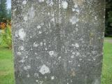 image of grave number 611776